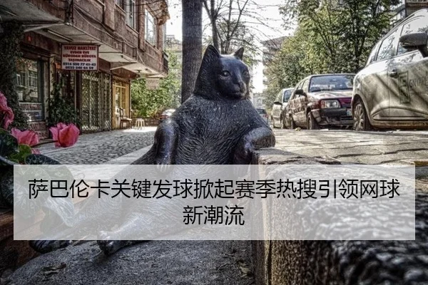 sa-ba-lun-ka-guan-jian-fa-qiu-xian-qi-sai-ji-re-sou-yin-ling-wang-qiu-xin-chao-liu-2-423.jpg